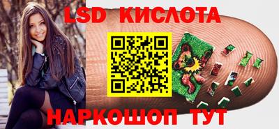 шишки Лесосибирск