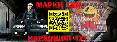 шишки Лесосибирск