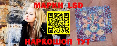 шишки Лесосибирск