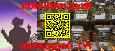 шишки Лесосибирск