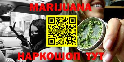 шишки Лесосибирск