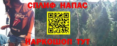 шишки Лесосибирск