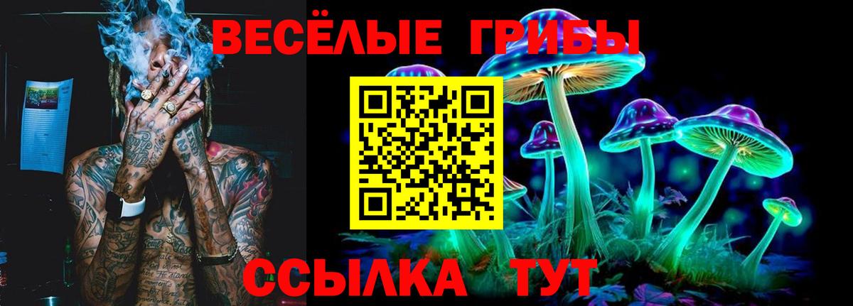 Южно-Сахалинск  Галлюциногенные грибы прущие грибы  Вход с VPN 